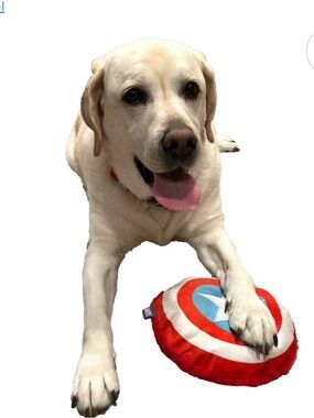 Marvel Captain America Dog Toy - Red, White, Blue
